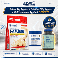 PACK GAINER 6KG - APPLIED NUTRITION