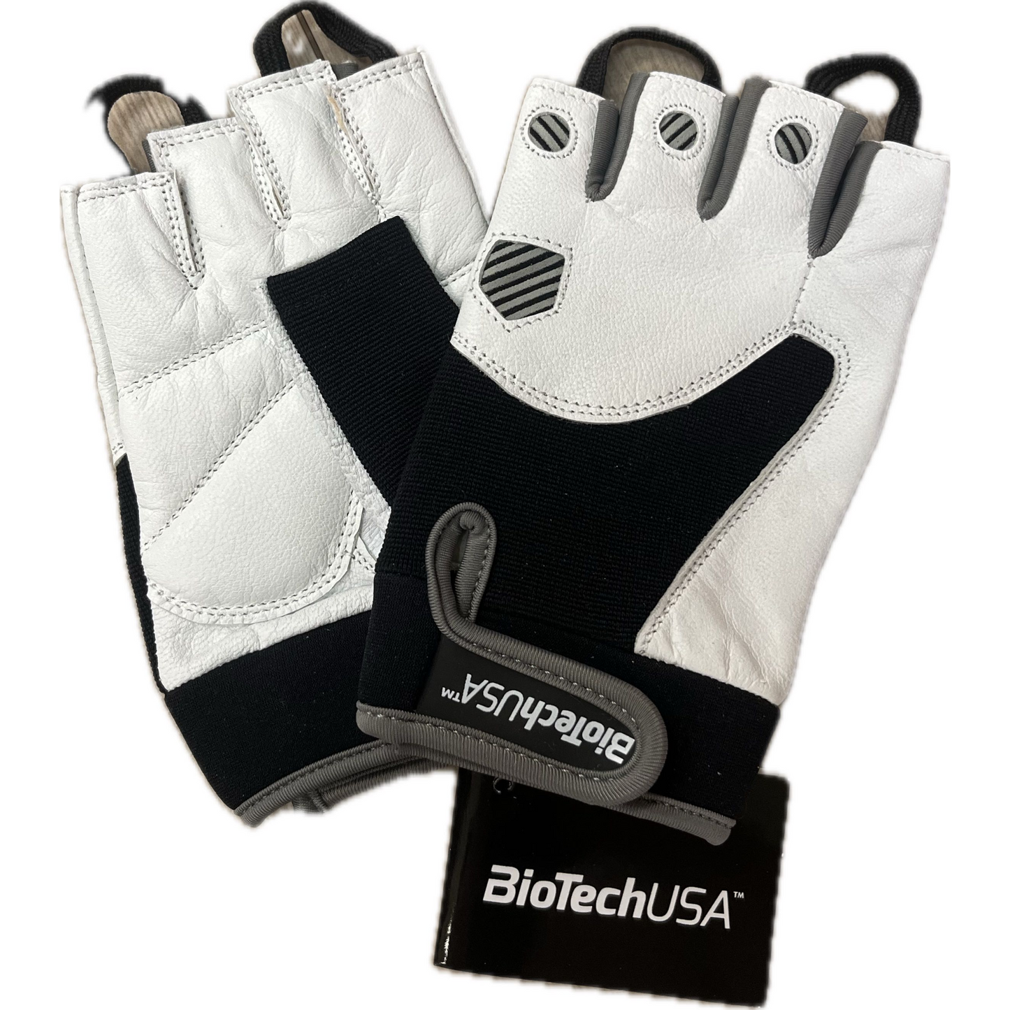 GANTS TEXAS - BIOTECH USA