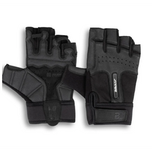 GANTS TORONTO - BIOTECH USA